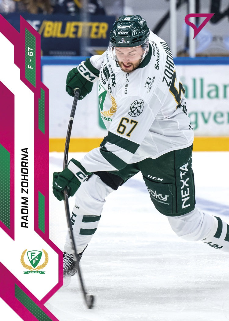 090 FBK RADIM ZOHORNA - PINK