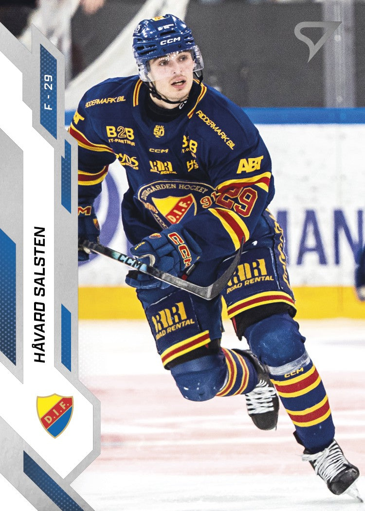 250 DIF HÅVARD SALSTEN - PERUSKORTTI