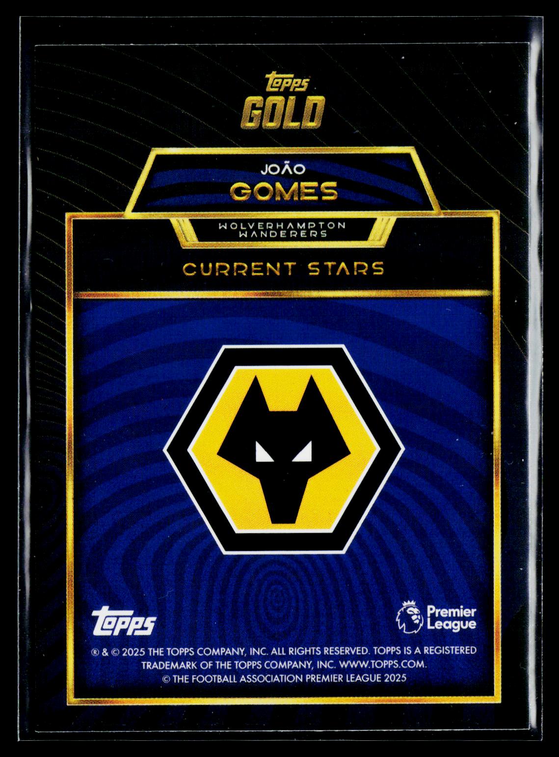 João Gomes Wolverhampton