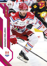 106 TIK M. PÄÄJÄRVI - VAALEANPUNAINEN