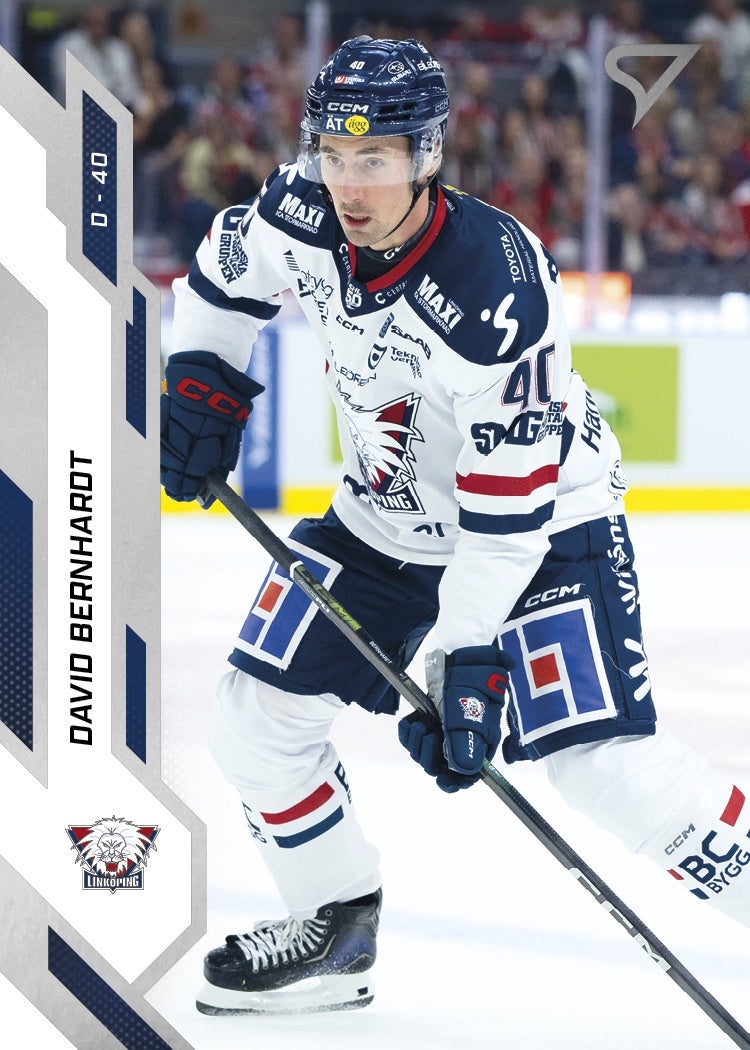 200 LHC D. BERNHARDT - BASE