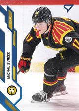 266 BIF Michal Svrček SININEN