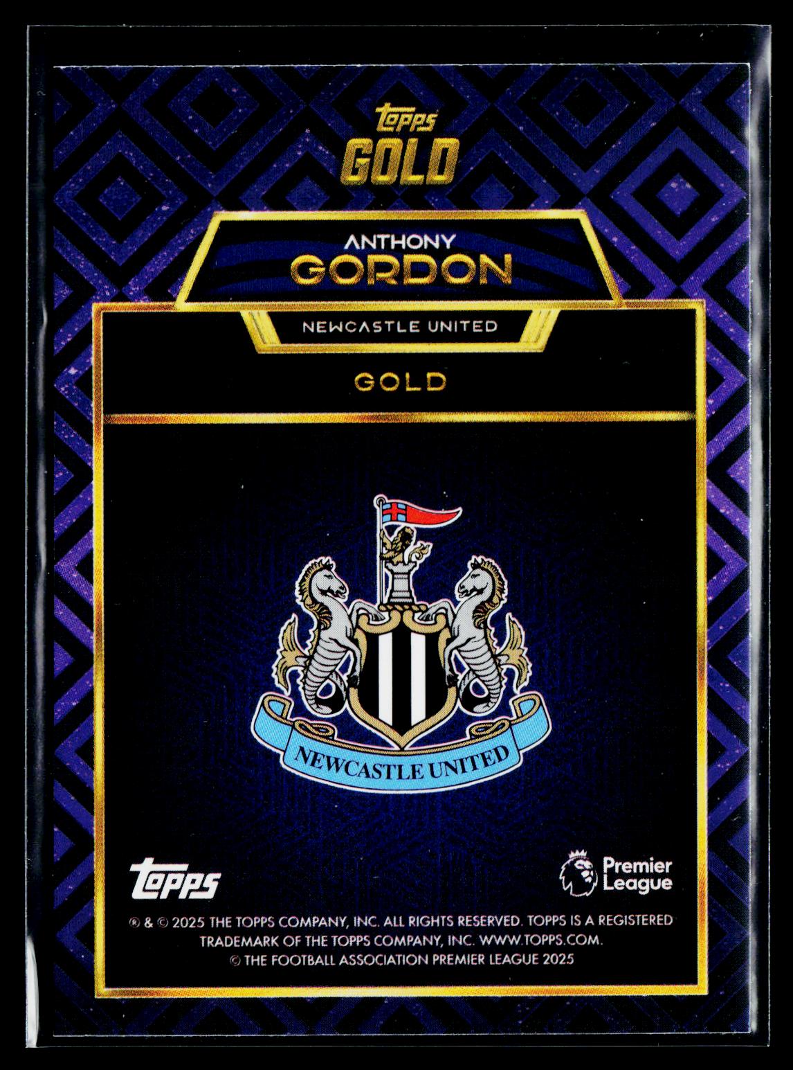 Anthony Gordon Newcastle United
