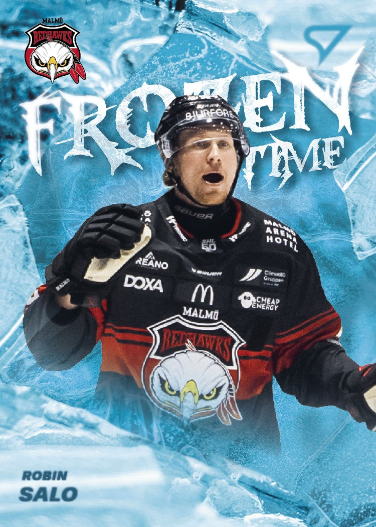 FT-10 P Robin Salo FROZEN IN TIME